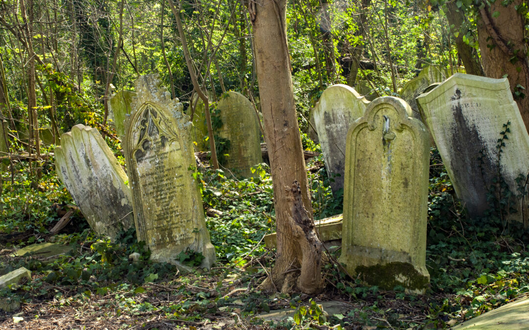 How Natural Cemeteries Celebrate Life and Protect Earth
