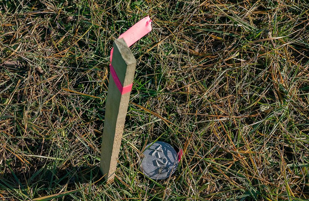 Stake marking natural burial plot