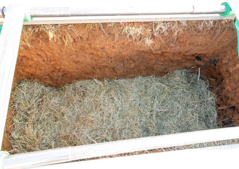 Natural burial at Serenity Ridge